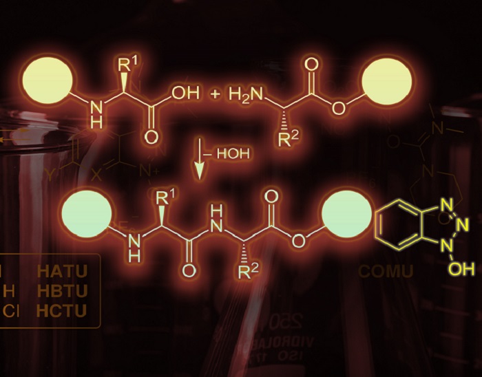 Peptide Synthesis