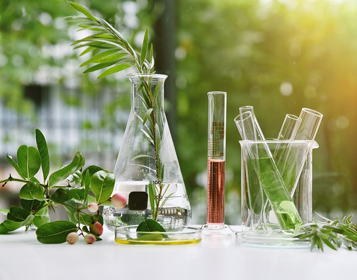 Herbal Drug Development